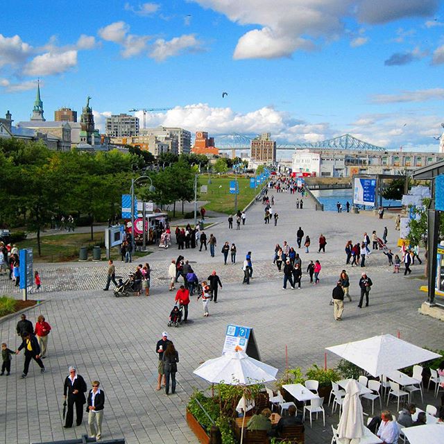 🇨🇦👌🏼✈️ #igers #colorful #montreal #canada #flowers #quebec #summer #love #instagood #follow #photooftheday #picoftheday #beautiful #instadaily #instalike #life #followme #instacool #traveling #travel #sky #sunset #trip #vacation #airbnb #followme #follow4follow #love
