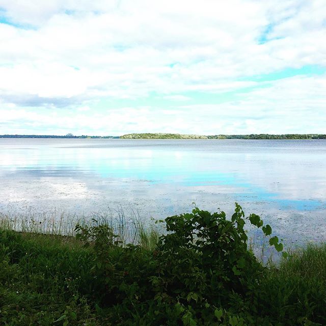 Nice view this morning 🏃🏼🍃💪 #beach #lake #run #workout #love #montreal  #amazing #follow4follow #nature #like4like #look #instalike #igers #instadaily #instafollow #followme #instagood #bestoftheday #photooftheday #amazing #look #instalike #igers #picoftheday #instadaily